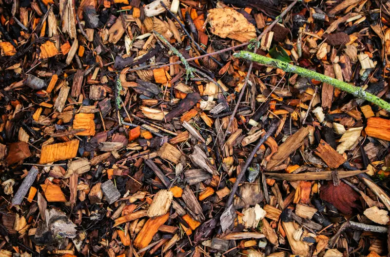 Forestry Mulching result